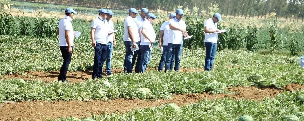 زيارة موزعين لمحطة تجارب دكيكة
