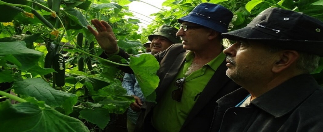 يوم حقلي مصغّر في محطة تجارب عكار/ سوريا