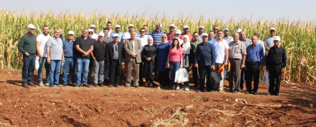 يوم حقلي حول صنف الذرة العلفية جيمسون في حماه