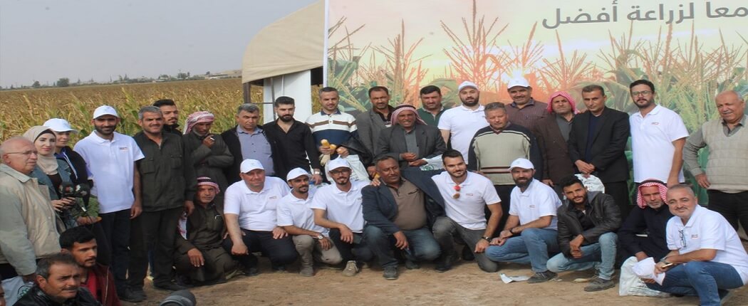 اليوم الميداني لرصد أصناف الذرة في ريف حلب