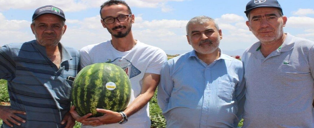 الدعم الفني لصنف الملكة