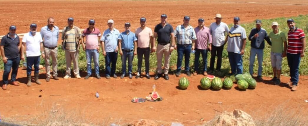 اﻟﻴﻮم اﻟﺤﻘﻠﻲ ﻓﻲ ﺣﻤﺺ ﻋﻠﻰ اﻟﺒﻄﻴﺦ اﻷﺣﻤﺮ ﻧﺎﺗﺎﺷﺎ