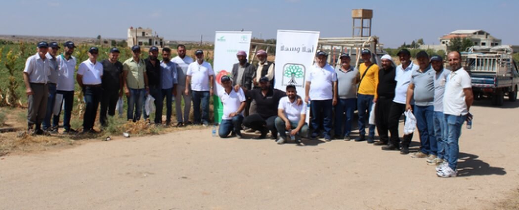 يوم حقلي لصنف البندورة SV 8320