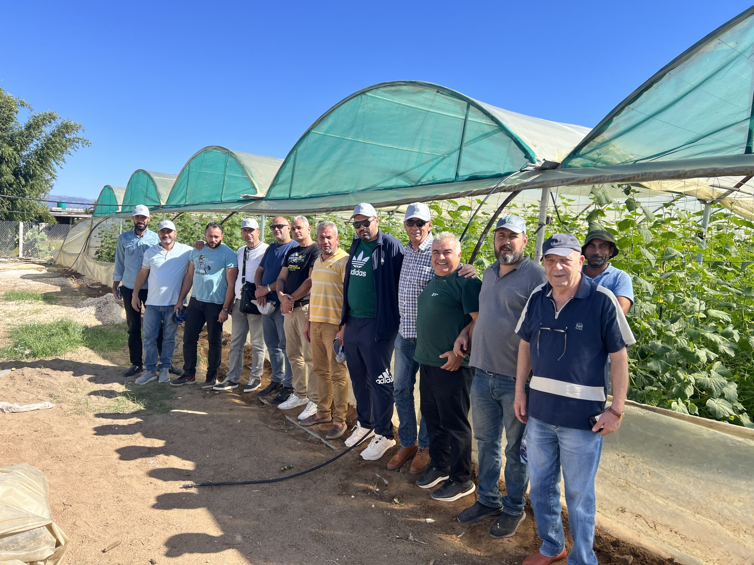 يوم حقلي لصنف الخيار “بيبرس” في جبلة ووادي السقي