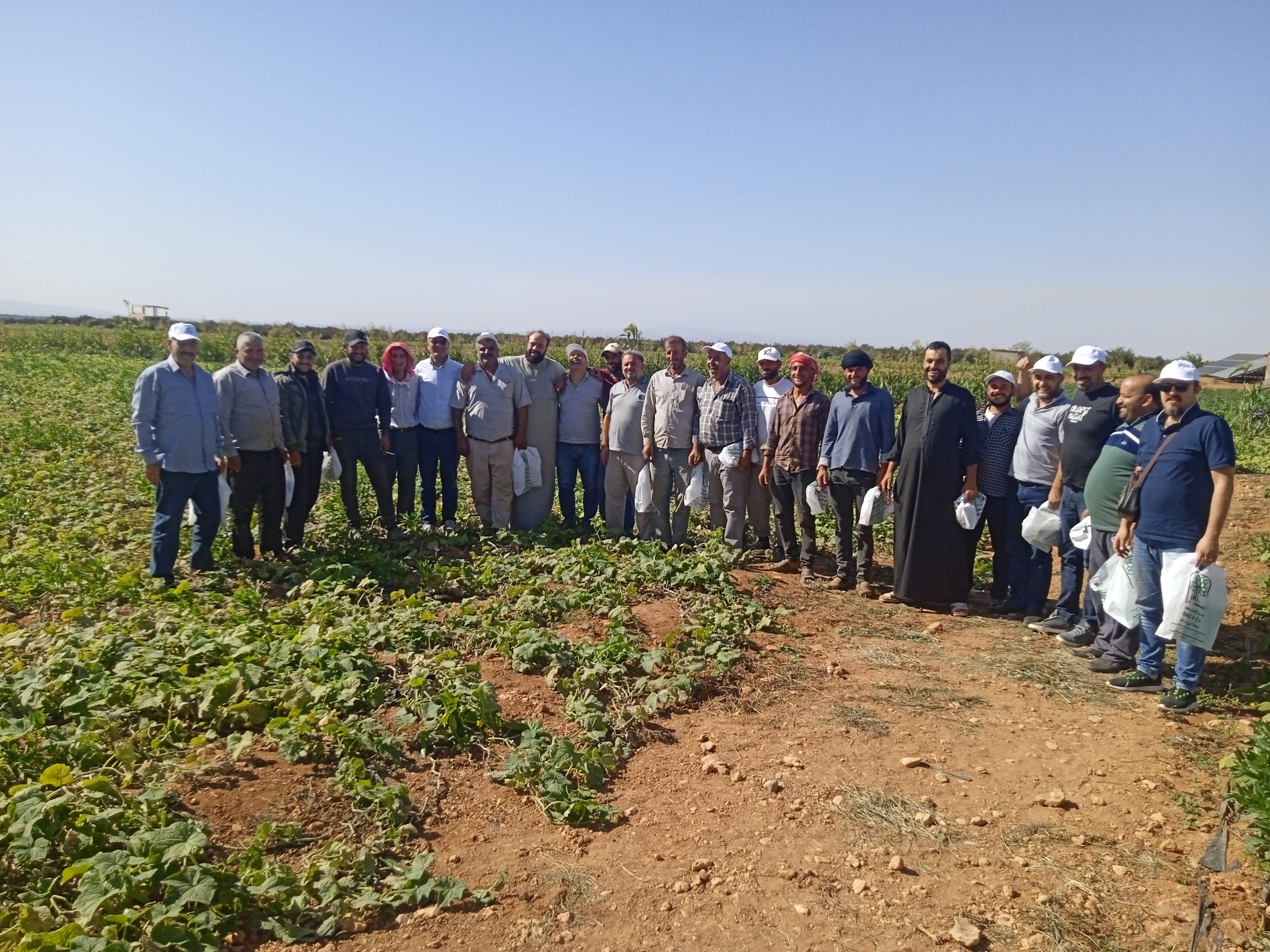 يوم حقلي لخيار بيبرس في حمص