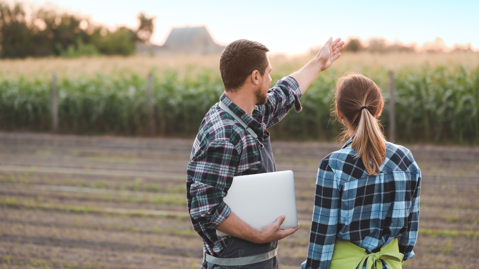 كيف تبني دبانه وشركاه مستقبلها على التمكين والمساواة