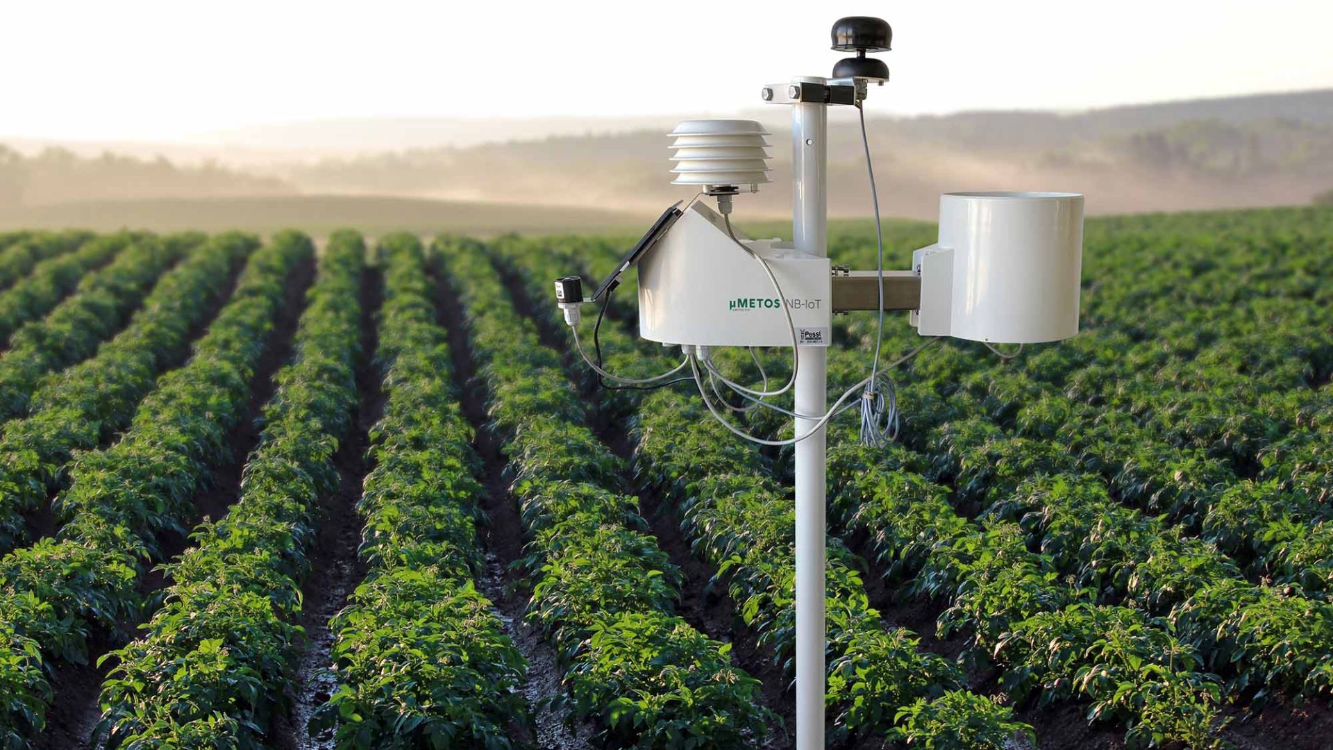 محطات الأرصاد الجوية والتنبؤ بالآفات – الوسيلة الداعمة للإدارة المتكاملة للآفات والمحاصيل